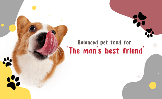 Man's best sales friend dog food
